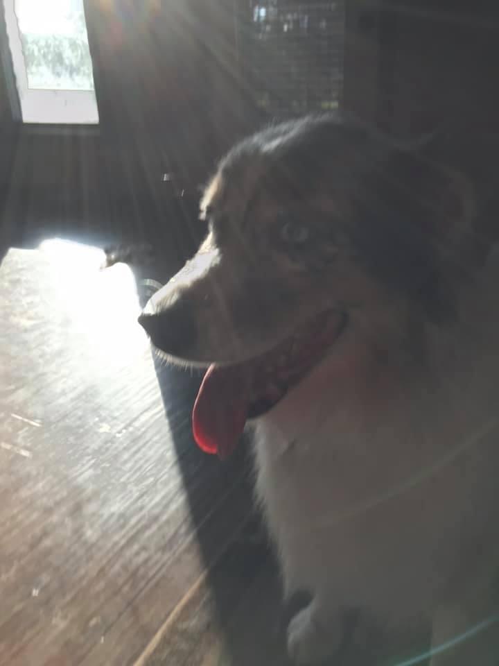 Hunter Tritt's album, Mobile uploads