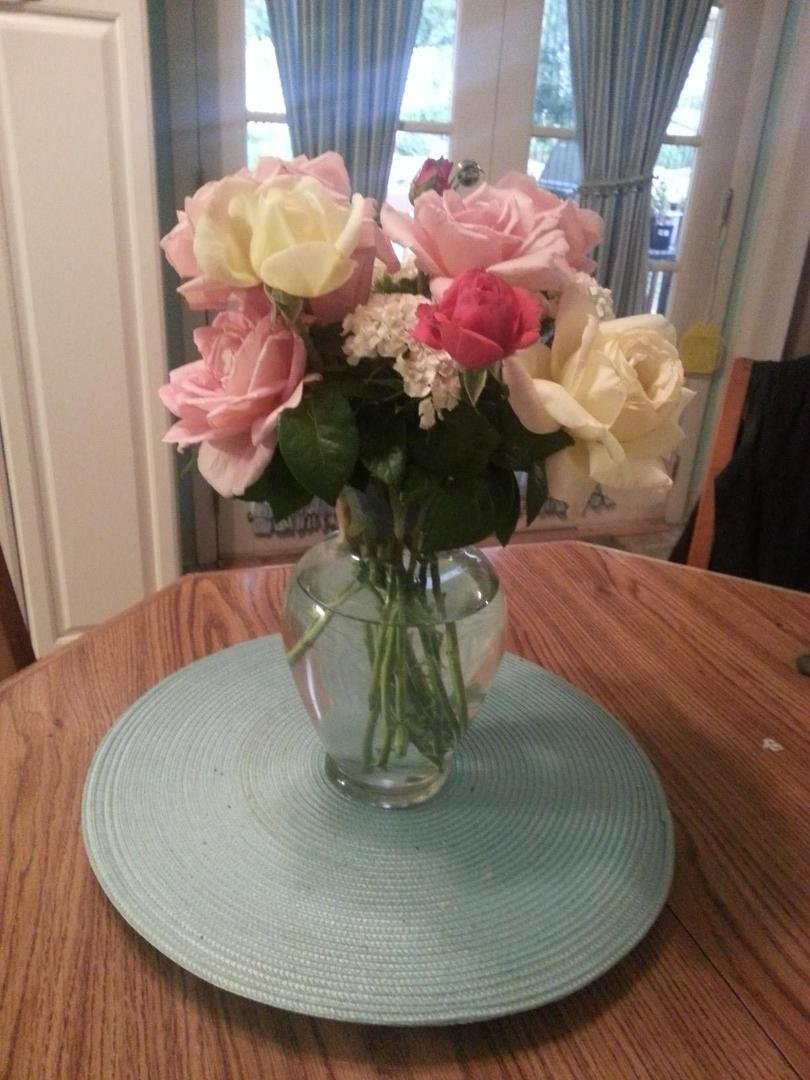 From my garden! They smell amazing m