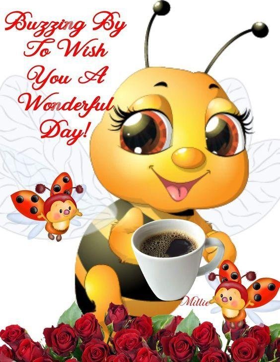 Beverly Wiese's album, Timeline Photos