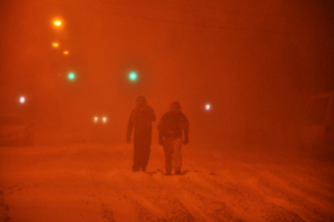 Canarsie Tundra