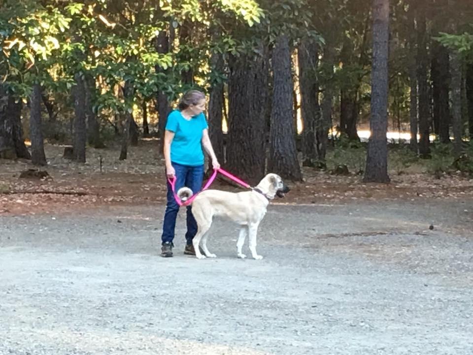5 months old