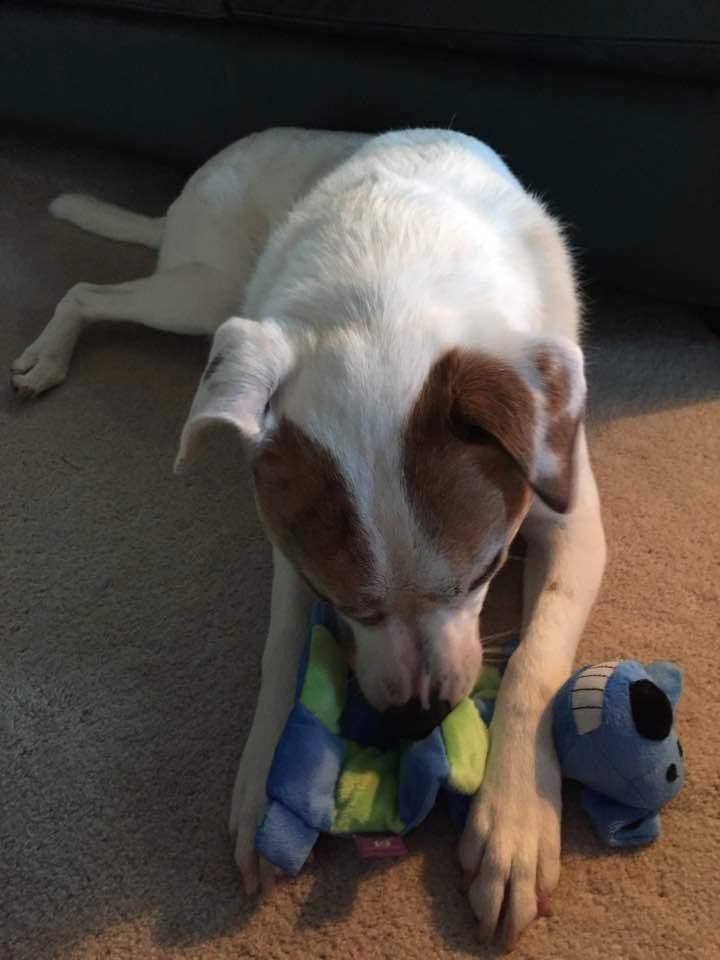 Thank you Aunt Peggy and Aunt Jody. Best gift ever and it's blue!!!