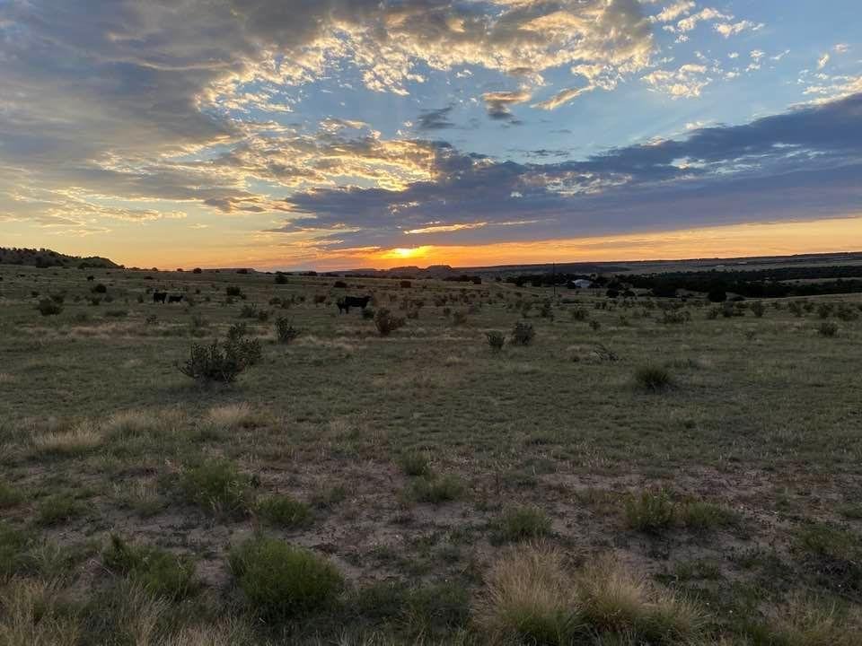 Beautiful sunset in Colorado