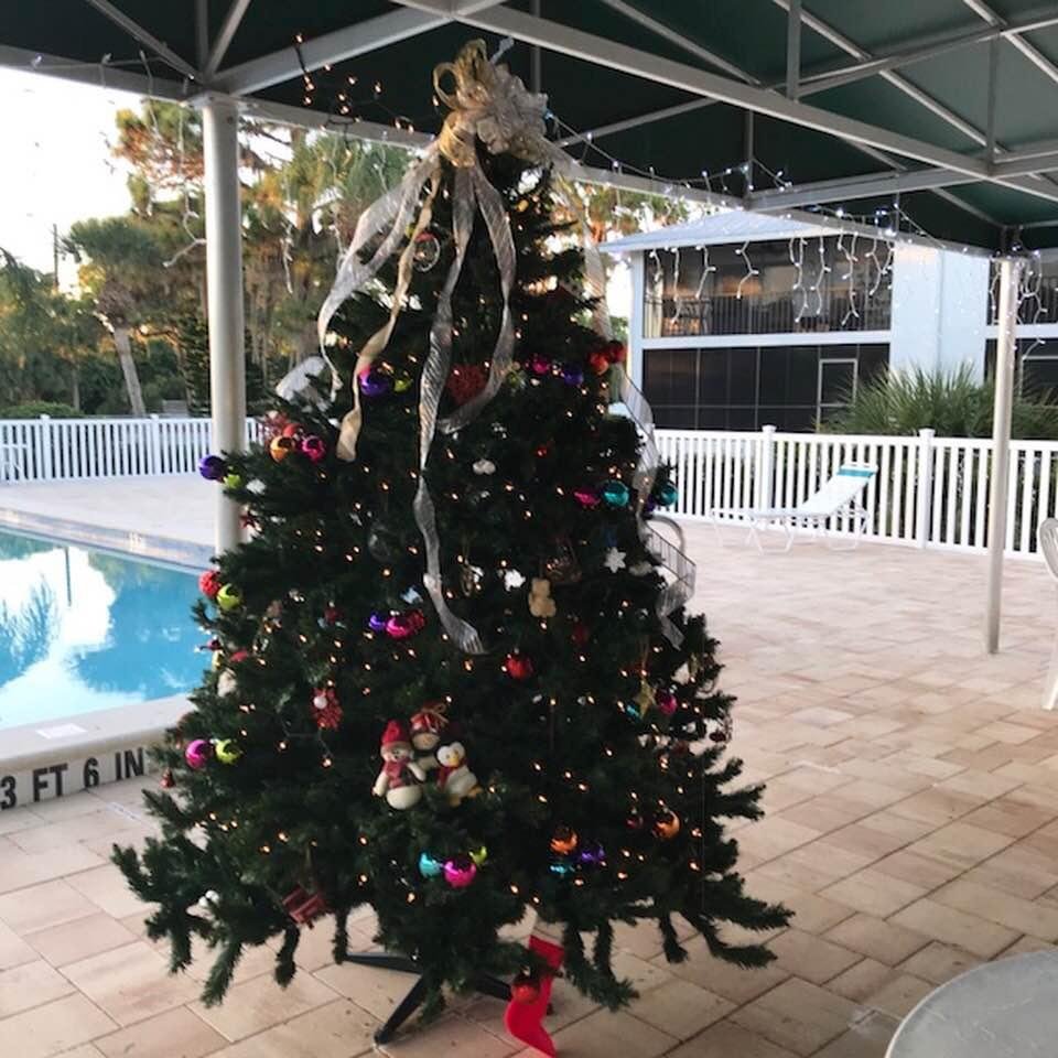 Merry Christmas from Florida!