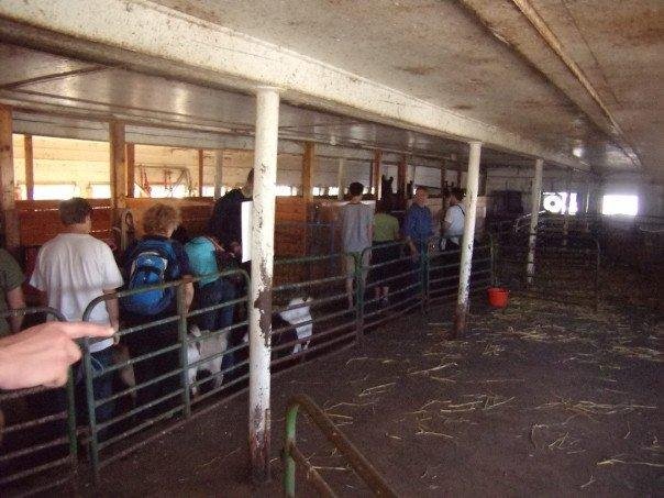 Maynard Clark's album, Maple Farm Animal Sanctuary