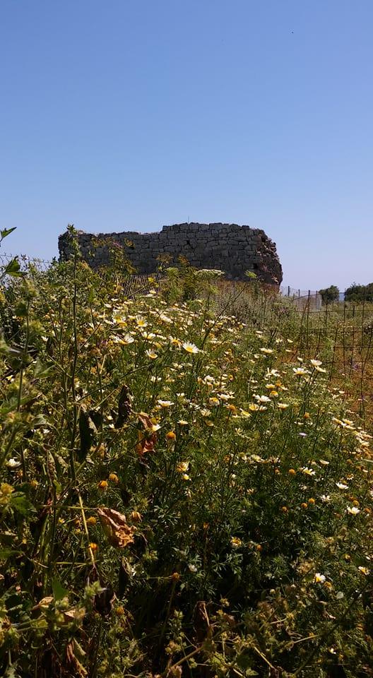The ancient ruins of Aptera, circa 8000 B.C.