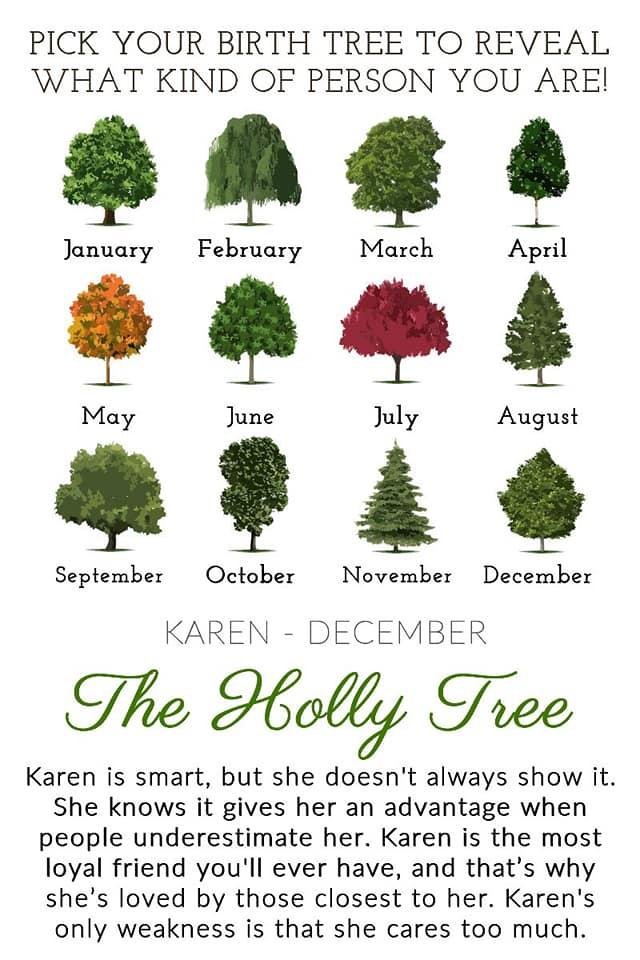 Karen Beene's album, Timeline Photos