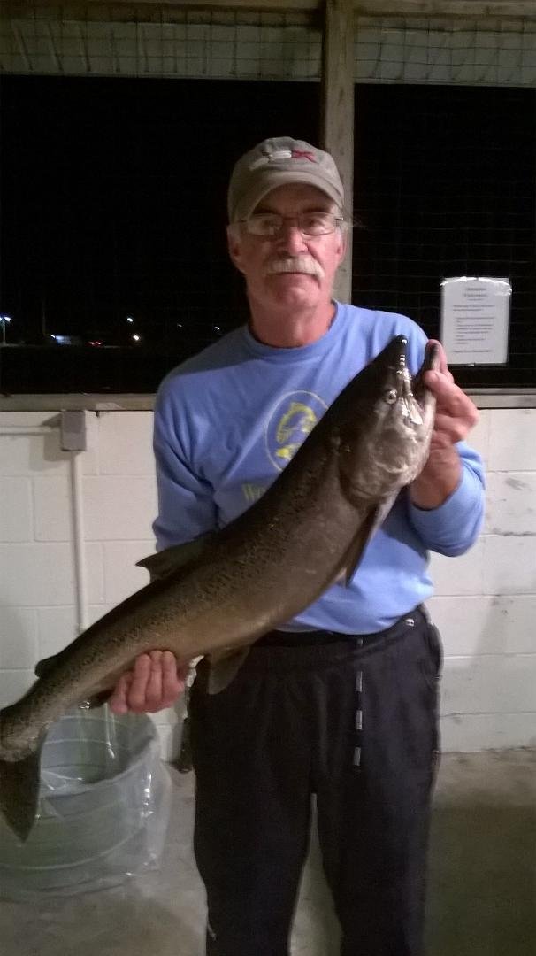 Early fall and the salmon are in!