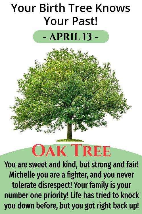 Michelle Myhrvold's album, Timeline Photos