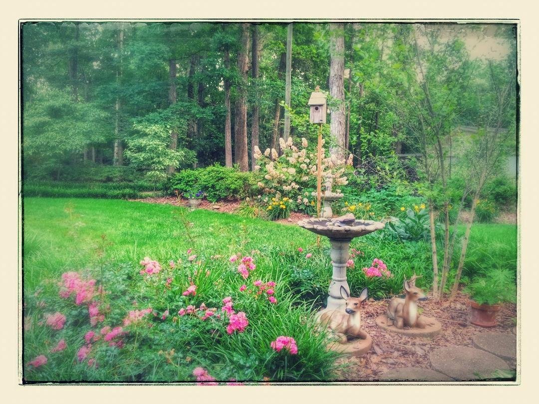 This gorgeous garden is the handiwork of J Don Reece and the photo taken 6 years ago today when Mom and I stopped by Greensboro to pick up Fran Reece on the way to see Kelly Reece Bennett. What happy memories, girls, and I'