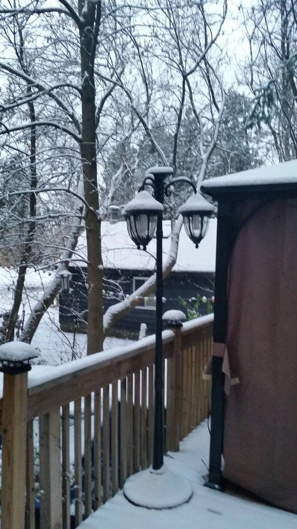 Woke up to winter lovely.