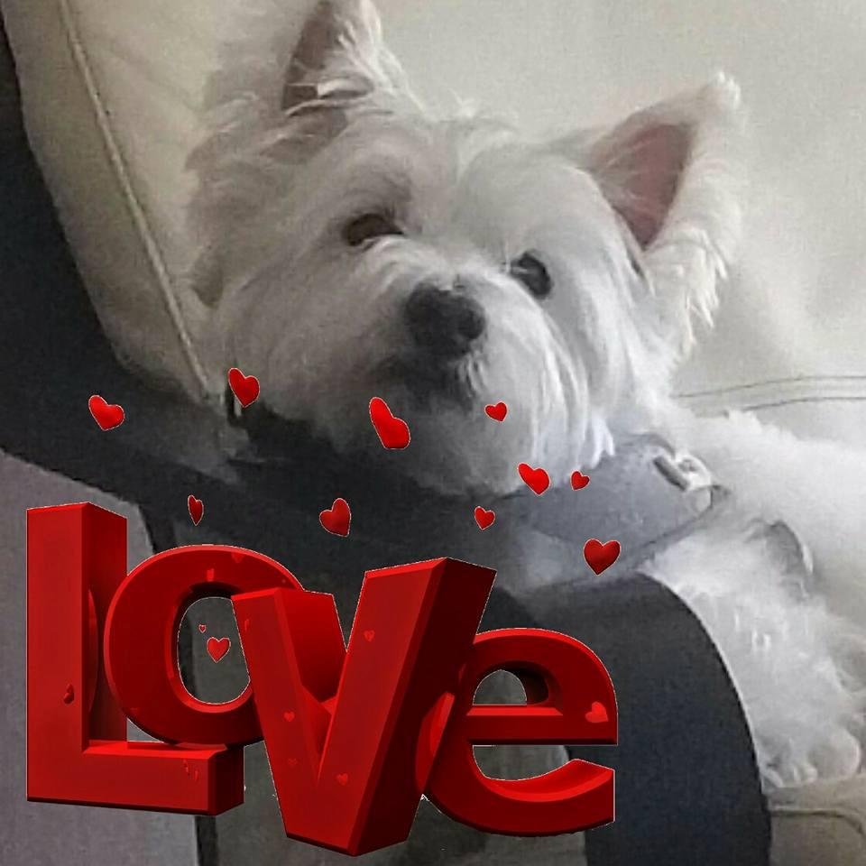 Mosey is spreading his lovies