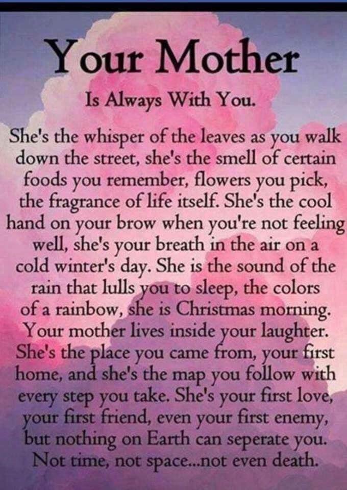 Susan Muller's album, Timeline Photos