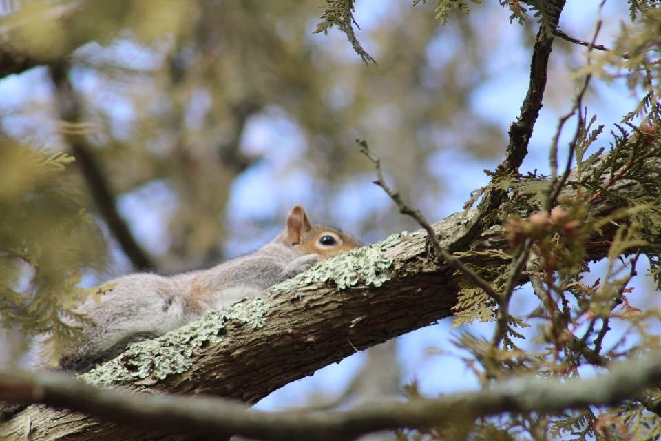 I can see you.....