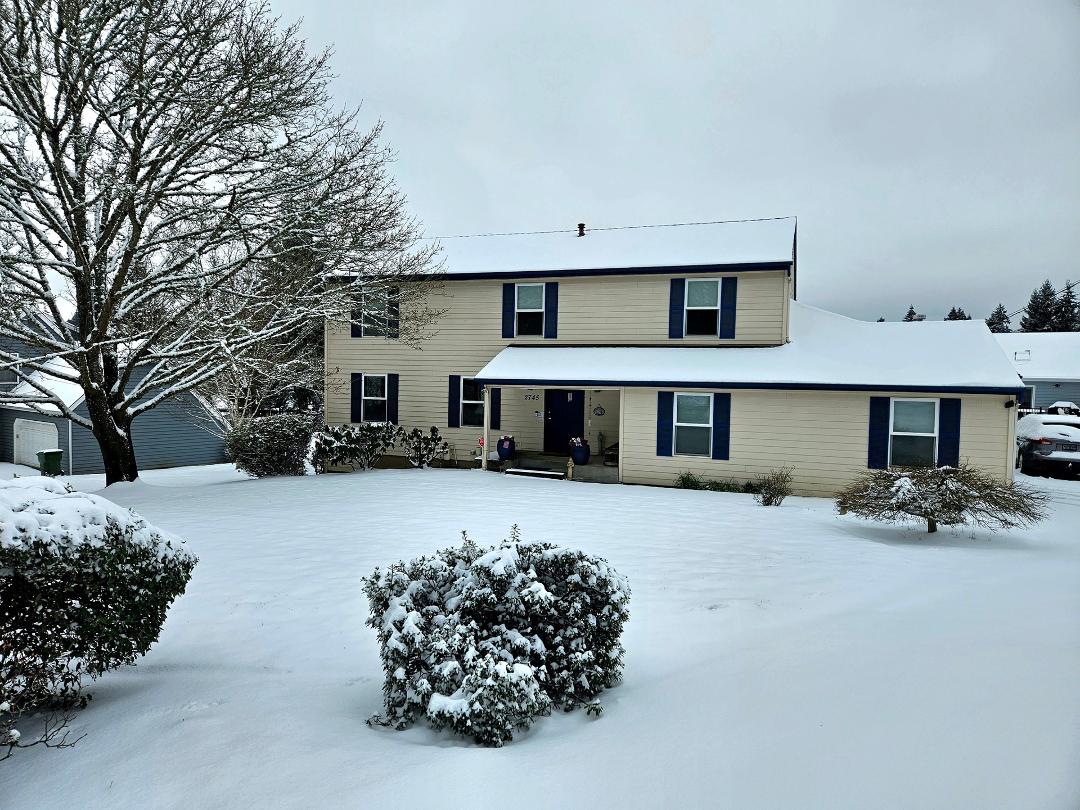 I lied in my last post. But the snow stopped so I ventured out to the street to get this shot of our house and yard in the snow.