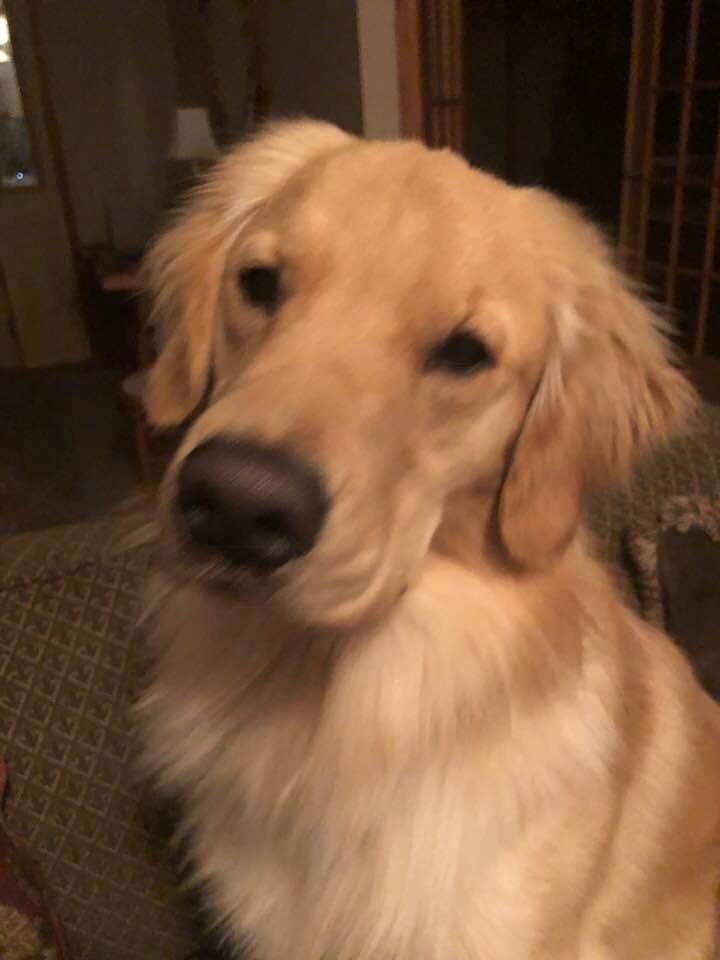 Our Golden Boy!