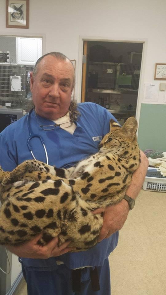 More pussy than I should be allowed to handle!