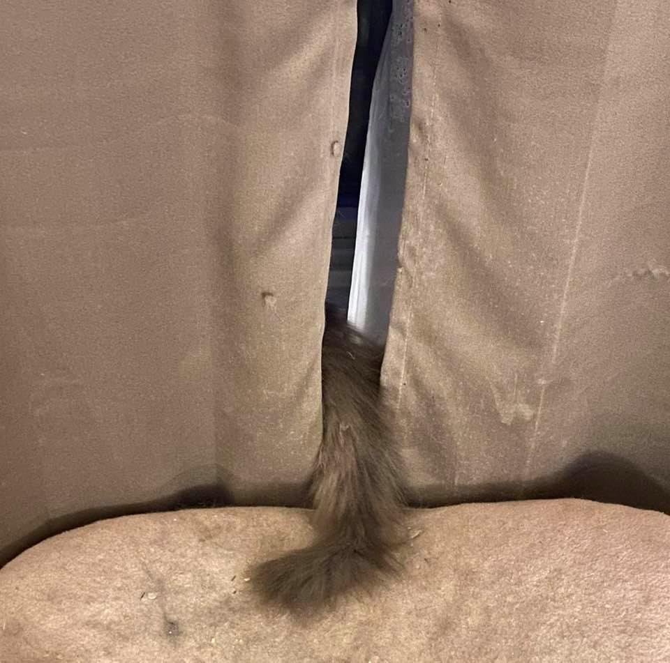 Burt and his concept of Hide and Seek is still a work in progress.