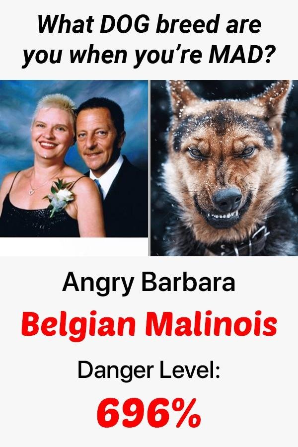 Barbara Steinbach's album, Timeline Photos