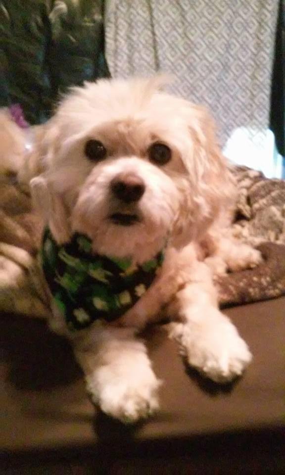 My best friend