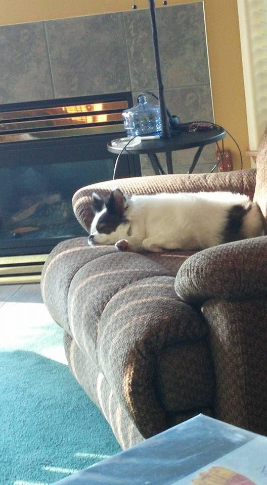 Who...ME?!