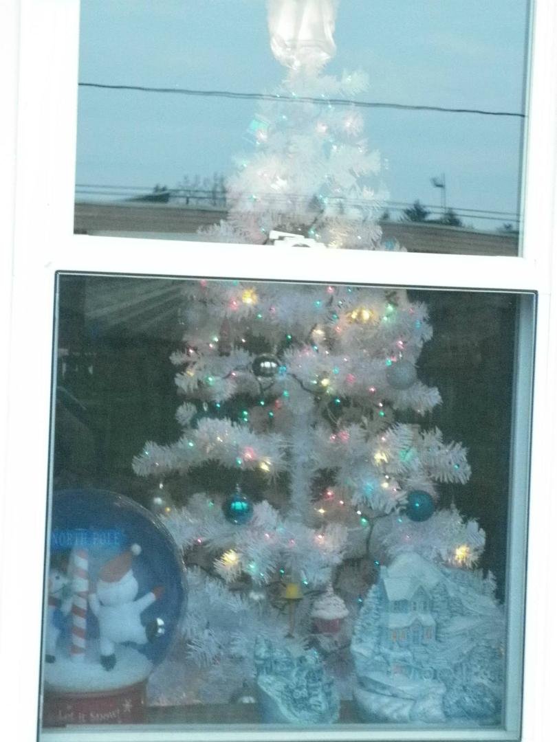 Outside of my house...left side