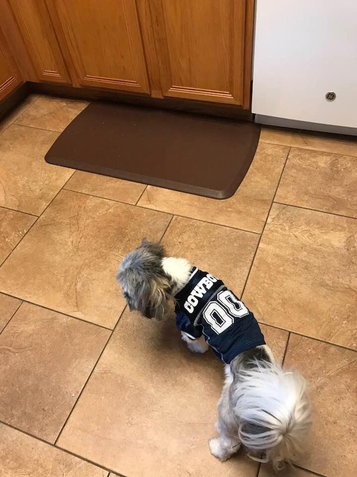 Cooper got a New Jersey today!