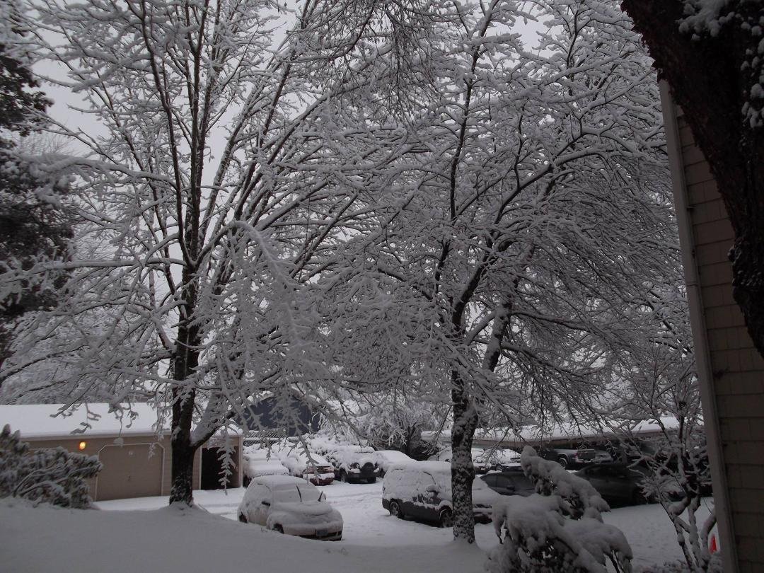 Cheryl Frazier's album, Timeline Photos
