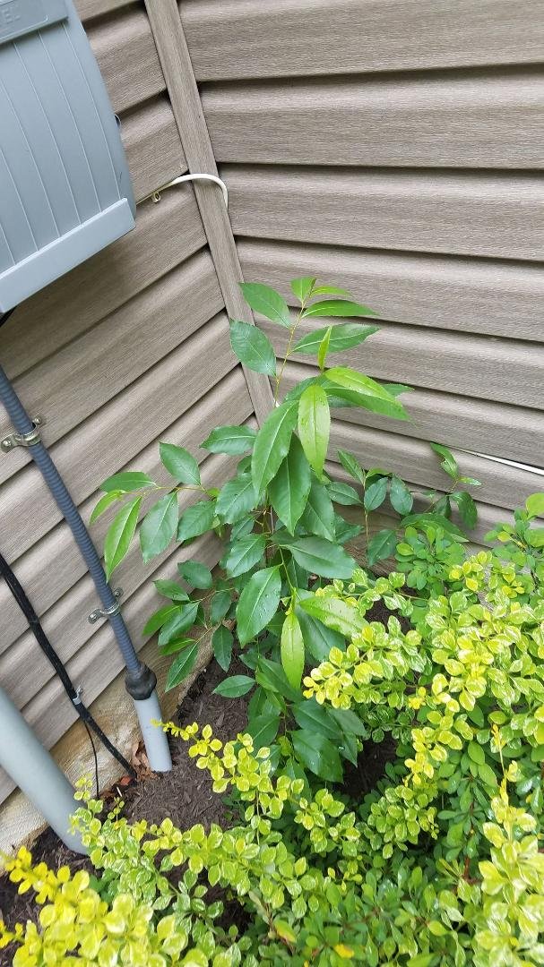 What is this?