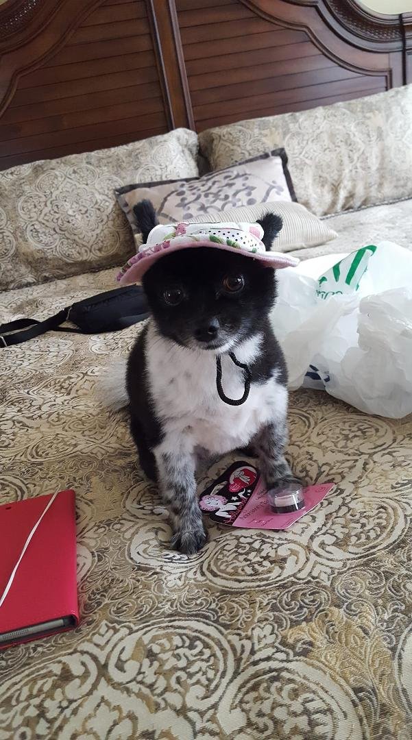 May likes her new visor.