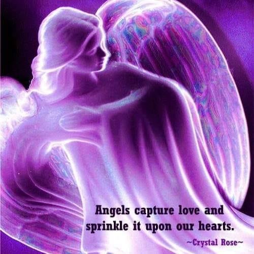 Diane Trottier's album, Mobile Uploads