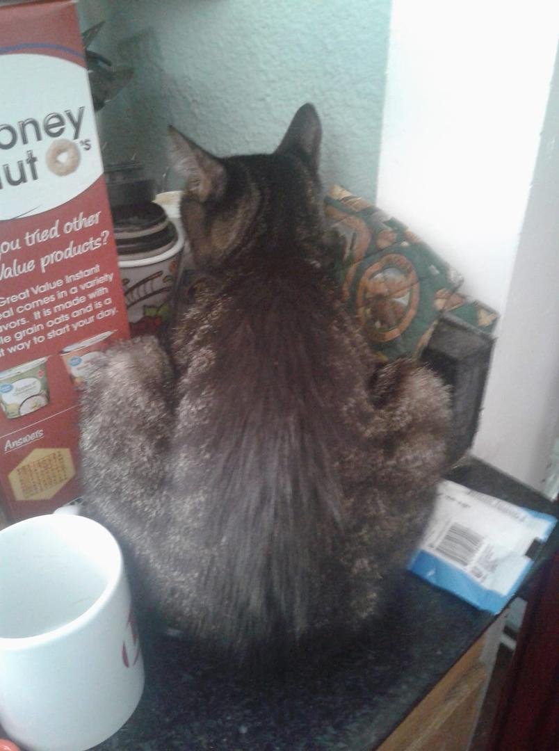 Buddy finds yet another strange place to sleep!