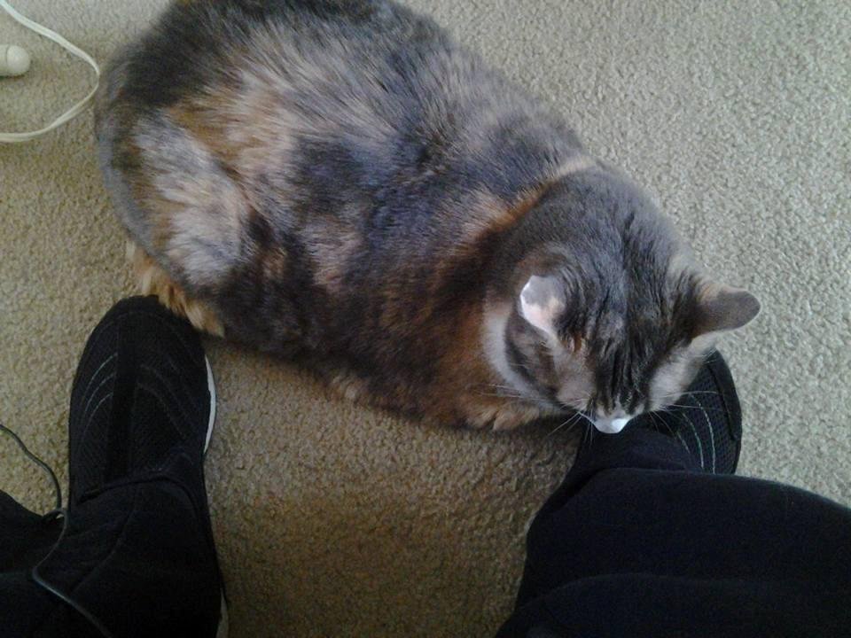 Angel knows Mommy is hurting!  No one can convince me otherwise!
