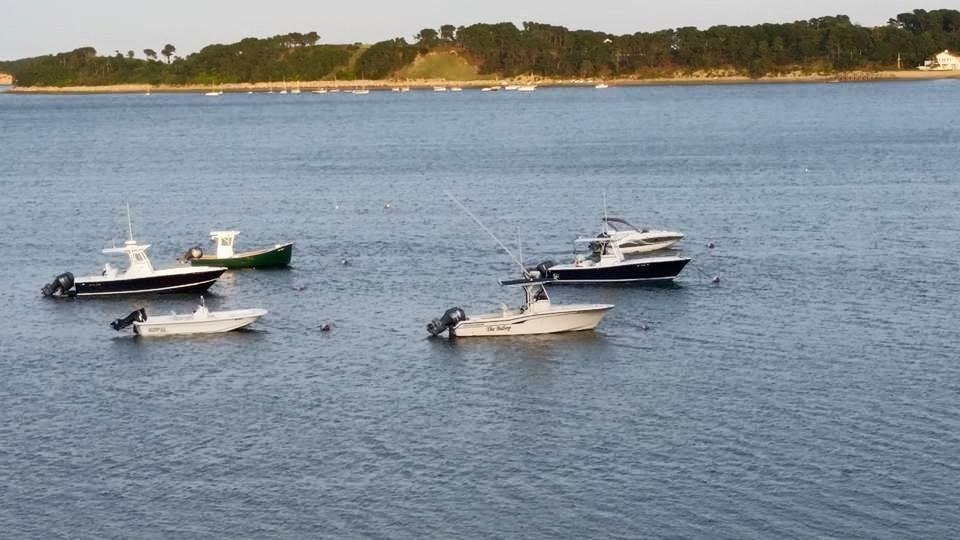 A picture perfect backdrop. ..like the song says, you're sure to fall in love with old Cape Cod