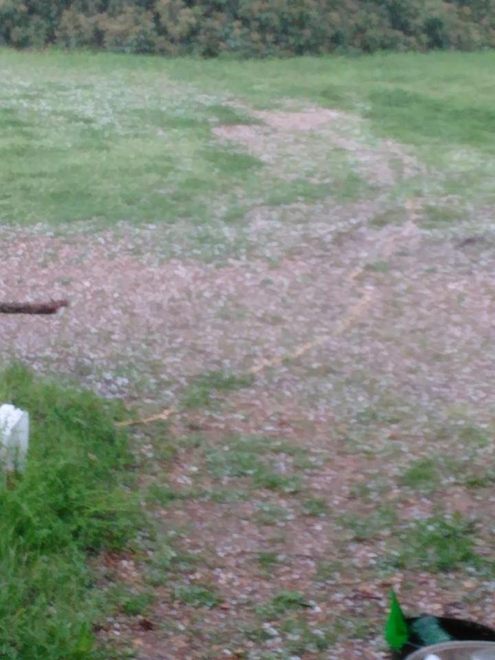So there was a cold front coming thru this morning. 20% chance of rain & then warm up to about 60. So instead we get thunderstorms with hail (about nickel size), was about 41 & doesn't seem it's going above 50, cold wind, g