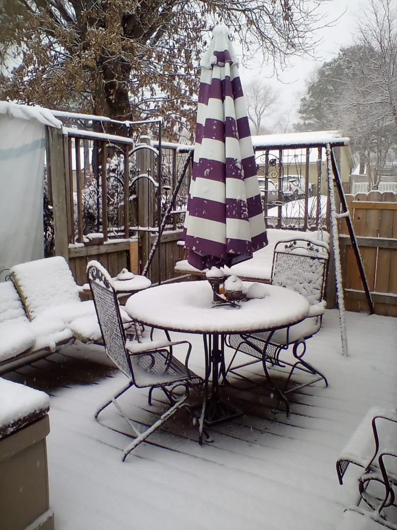 Our March snow