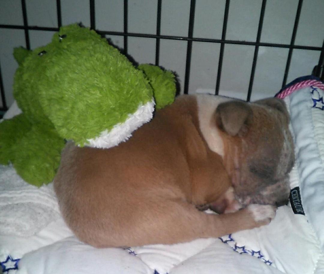 URGENT  DOTHAN  AL    PLEASE HELP ANY AMOUNT WILL BE APPRECIATED