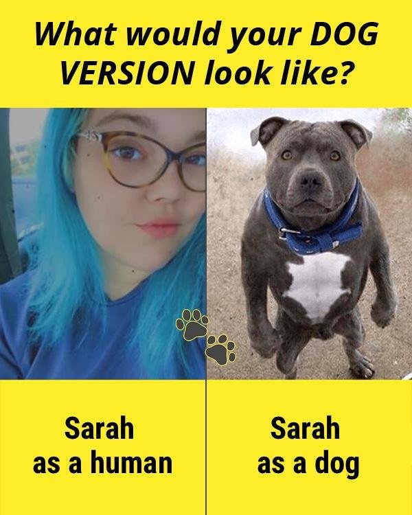 Sarah Stowe's album, Timeline photos
