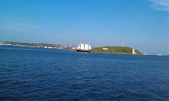 Beautiful day Halifax waterfront July 22/2013