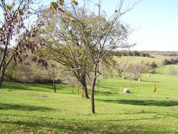 view to northwest