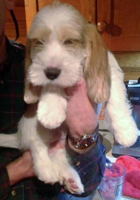 Happy Puppy Day from Sparkle from when she was a wee little sprout!
