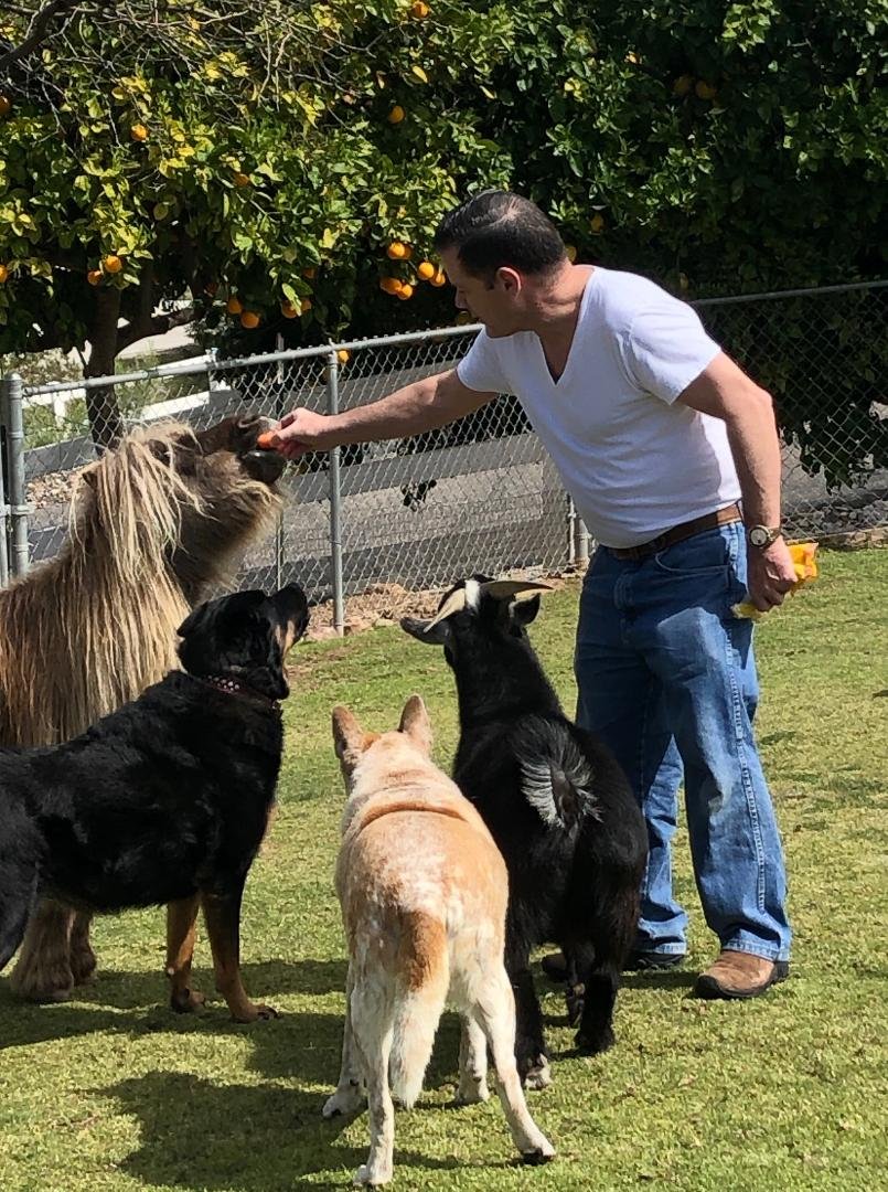 Smokey is my favorite. Ursa, Ziva and Bernard each got a carrot too!
