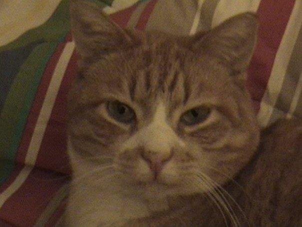 Coleman "Tommy" Randall's album, Timeline Photos