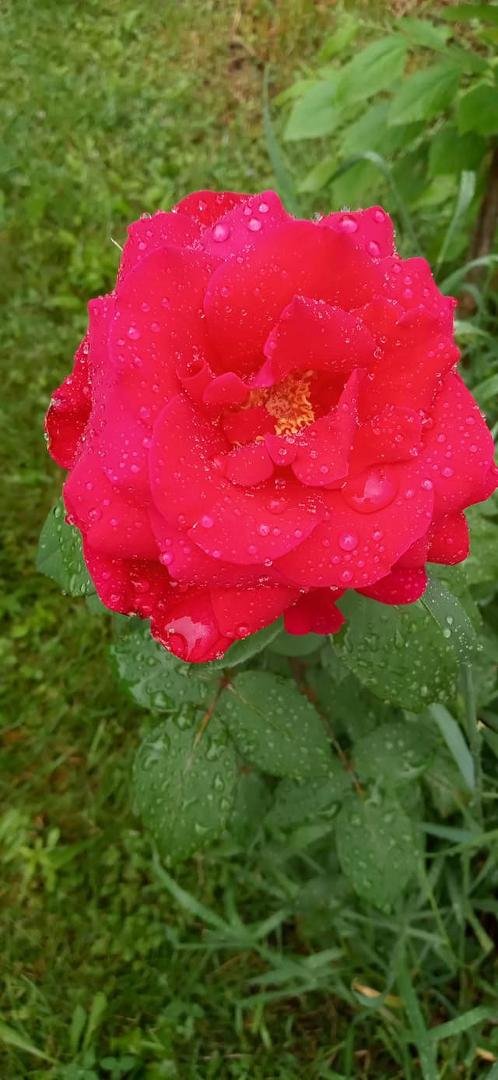 Patsy Bibbo's album, Timeline photos