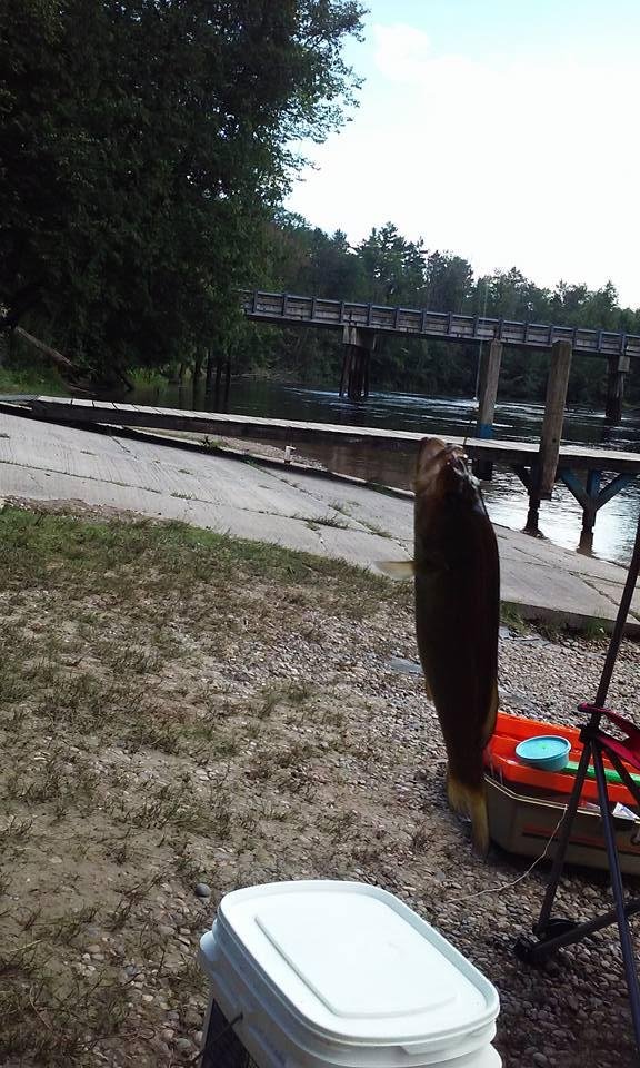 Alyssa caught a fish..too small to keep..