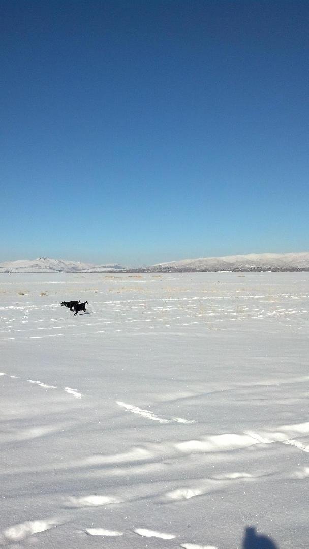 New Years run at Washoe Lake