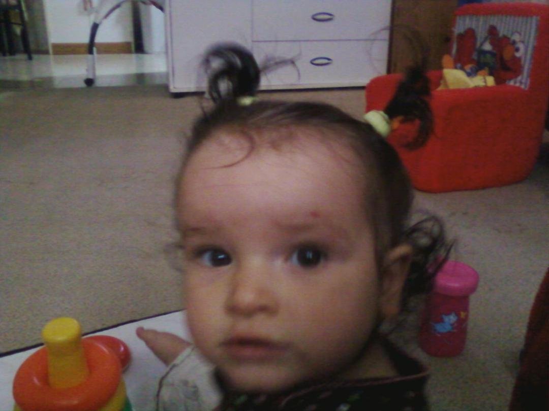 FWD:Ponytails!
Ponytails!