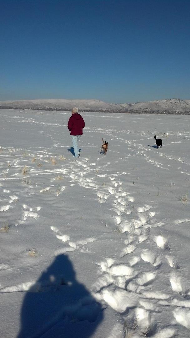 New Years run at Washoe Lake