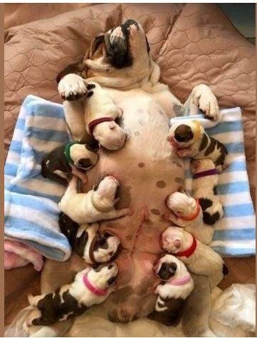 Belly up to the bar. . .