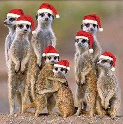It looks like Christmas is here.